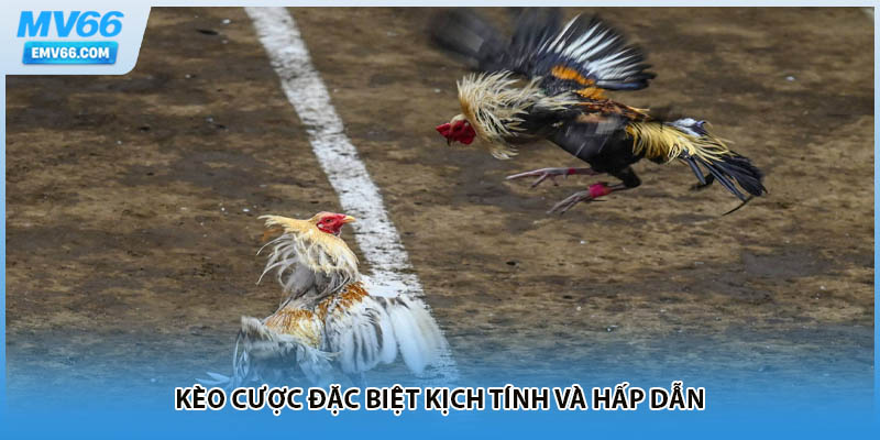 Kèo cược đặc biệt kịch tính và hấp dẫn