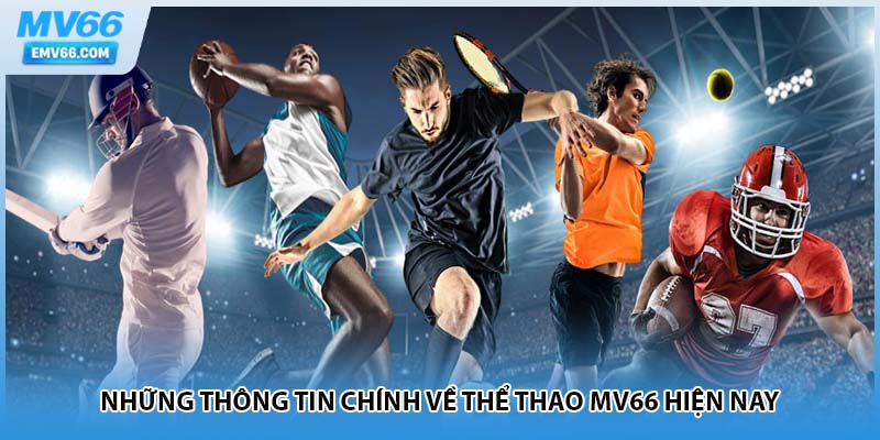 Những thông tin chính về thể thao MV66 hiện nay