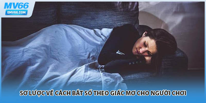 Sơ lược về cách bắt số theo giấc mơ cho người chơi