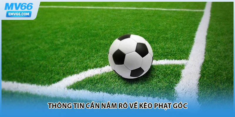 Thông tin cần nắm rõ về kèo phạt góc