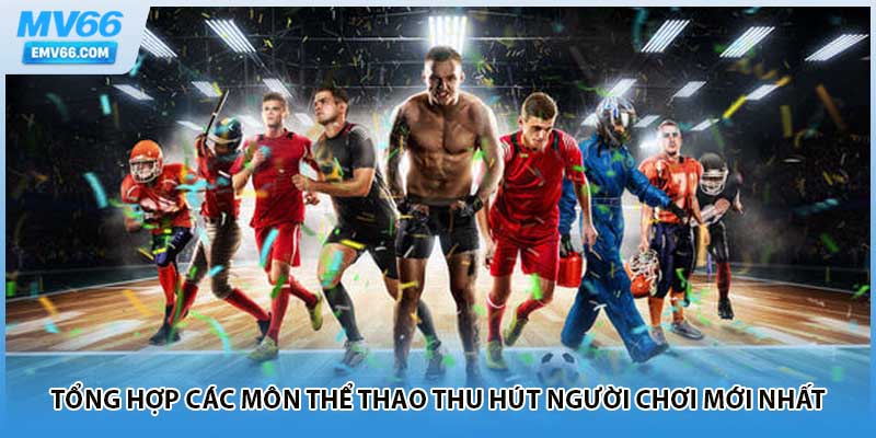 Tổng hợp các môn thể thao thu hút người chơi mới nhất